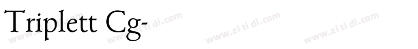 Triplett Cg字体转换